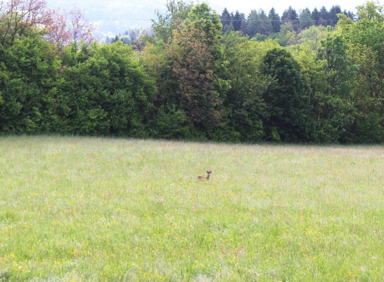 Haus Falle Schiefling am See Exterior foto